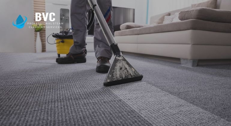 Why Regular Carpet Cleaning Is a Must for Pet Owners