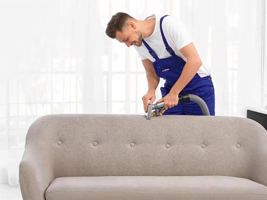couch cleaning service