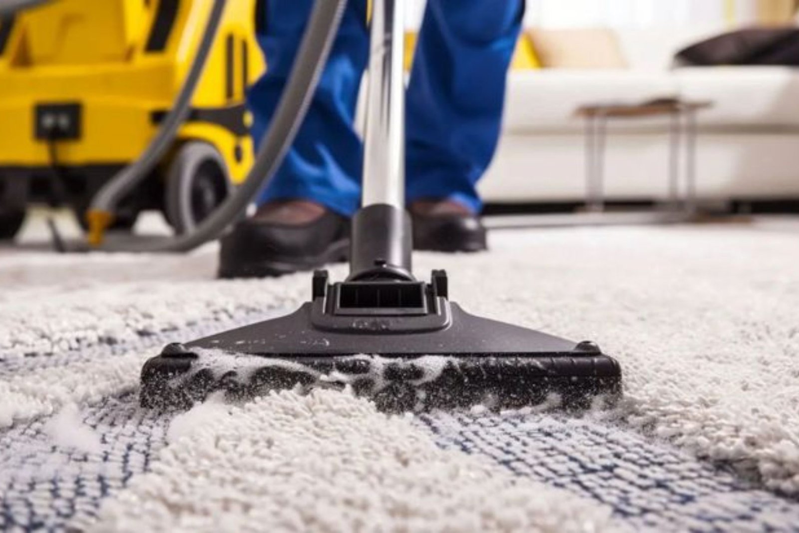 Why On-Time Carpet Cleaning Matters for Busy Perth Families