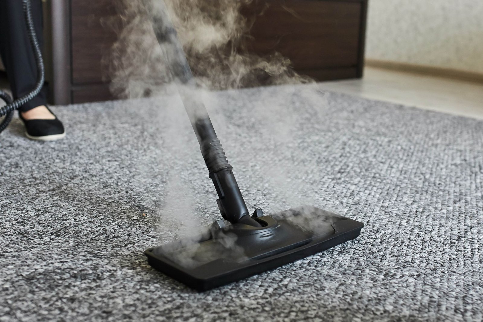 Carpet Take to Dry After Steam Cleaning